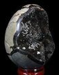 Septarian Dragon Egg Geode - Crystal Filled #37371-3